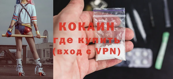 индика Балахна