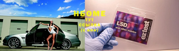 индика Балахна