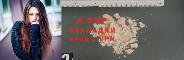 индика Балахна