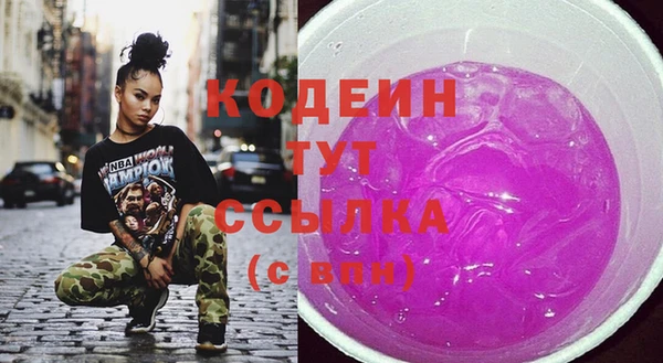индика Балахна