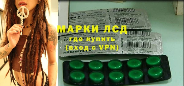 индика Балахна