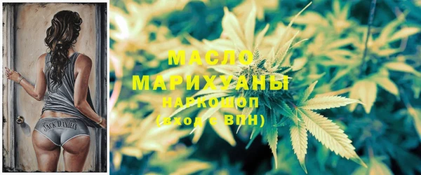 индика Балахна